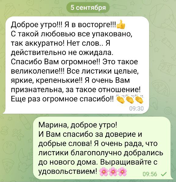 Отзыв покупателя